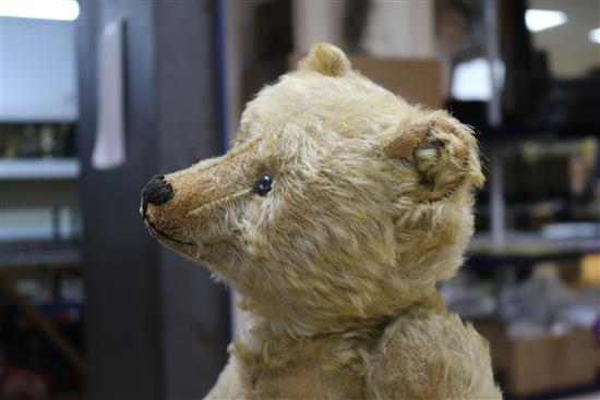 A Steiff centre seam bear, c.1908, replaced paw pads, hair loss to body, arms and legs, 20in.